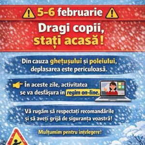 Activitatea educațională se va desfășura în regim online!