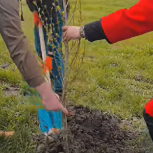 Dintr-o idee simplă s-a născut o schimbare reală. Prin implicare, responsabilitate și spirit de echipă, am reușit să contribuim la un Chișinău mai verde și mai curat